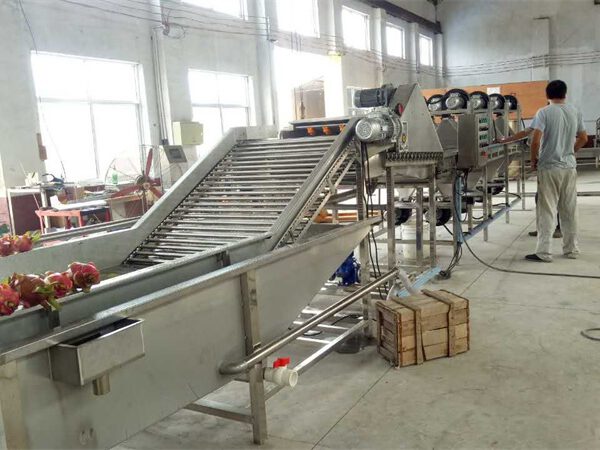 Day Chuyen San Xuat Thanh Long Say Deo. 3