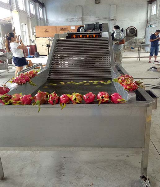 Day Chuyen San Xuat Thanh Long Say Deo. 4