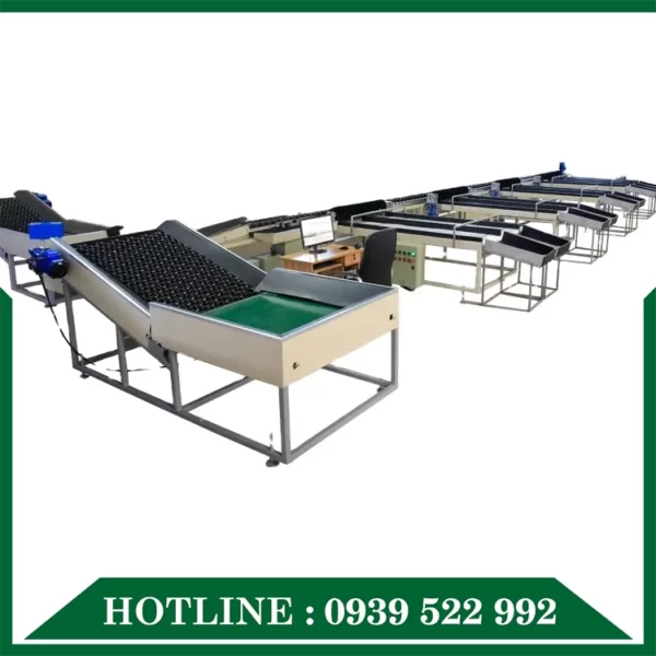 Dây Chuyền Phân Loại Sản Phẩm 10 day chuyen phan loai san pham 05