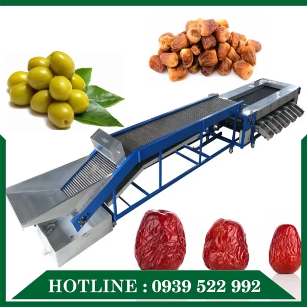 Dây Chuyền Phân Loại Sản Phẩm 9 day chuyen phan loai san pham 06