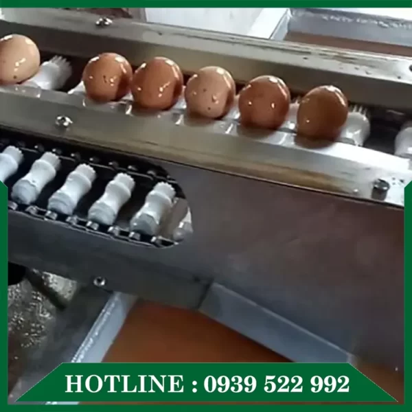 day chuyen rua va say kho trung 02