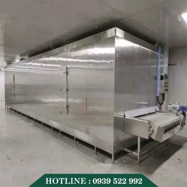 day chuyen san xuat dong lanh iqf 2