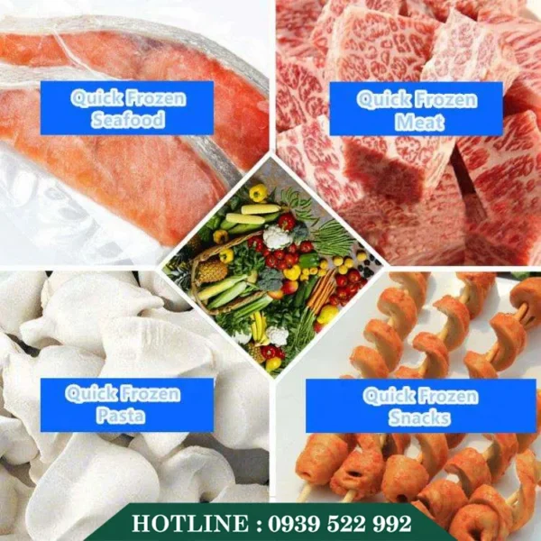 day chuyen san xuat dong lanh iqf 3