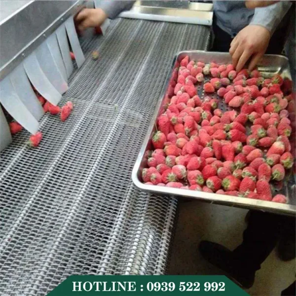 day chuyen san xuat dong lanh iqf 5