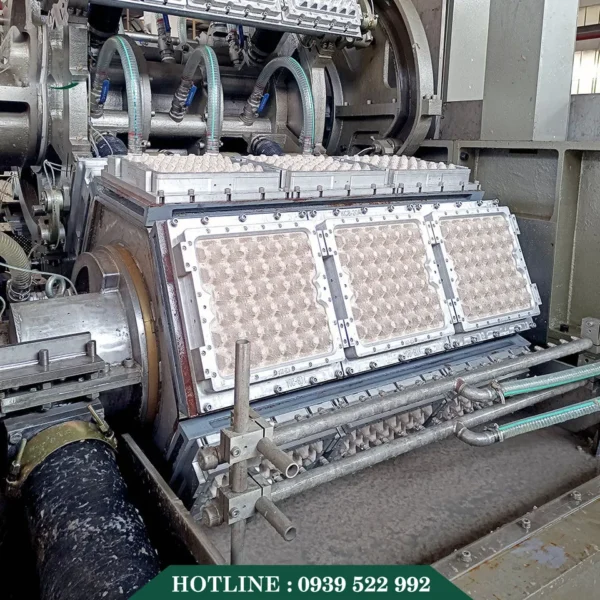 Dây Chuyền Sản Xuất Khay Trứng Tái Chế Tự Động 7 day chuyen san xuat tai che khay trung tu dong 2