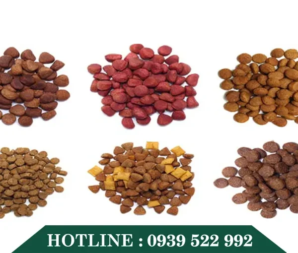 day chuyen san xuat va che bien thuc an cho cho meo 1