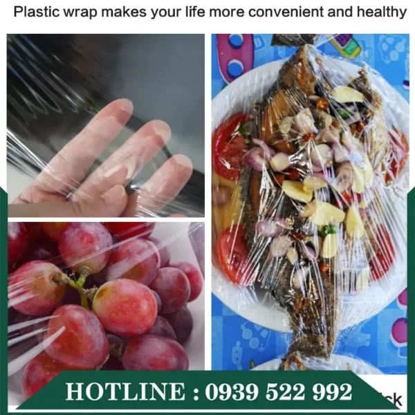 may boc mang thuc pham hw 450 3