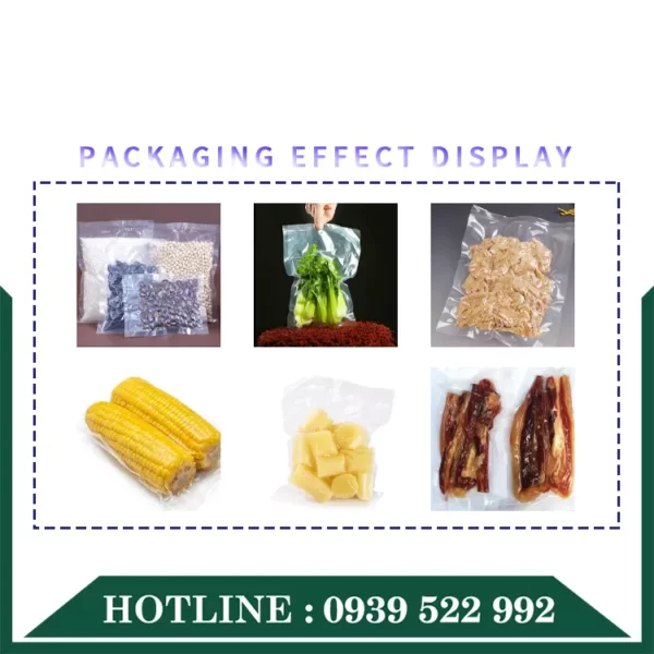 may hut chan khong dz 300a 3