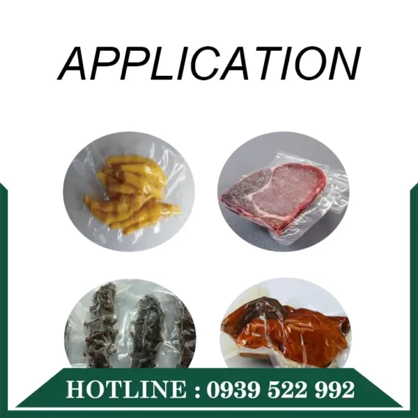 Máy Hút Chân Không DZQ-600 Buồng Sâu 7 may hut chan khong dzq 600 buong sau 2