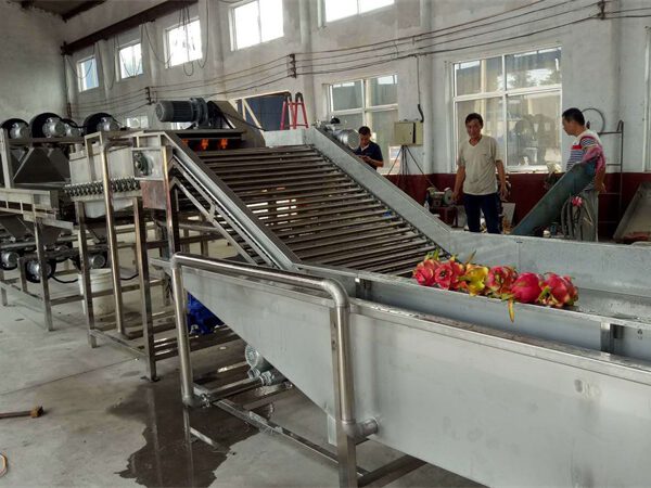 Day Chuyen San Xuat Thanh Long Say Deo. 1