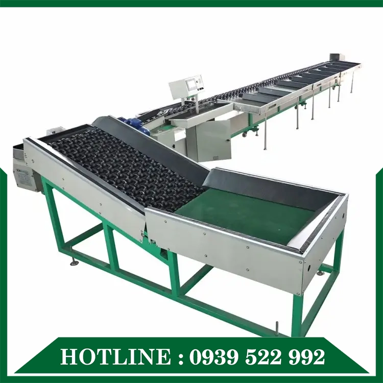 Dây Chuyền Phân Loại Sản Phẩm - Ảnh 2