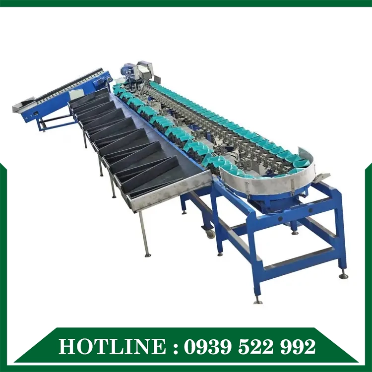 Dây Chuyền Phân Loại Sản Phẩm - Ảnh 6