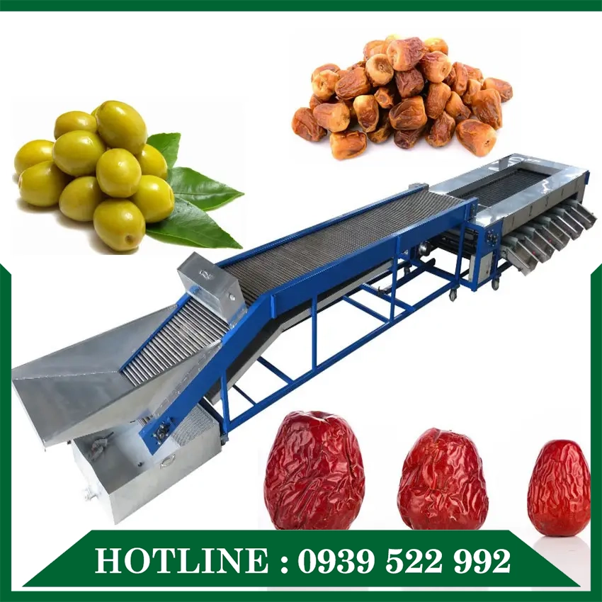 Dây Chuyền Phân Loại Sản Phẩm - Ảnh 3