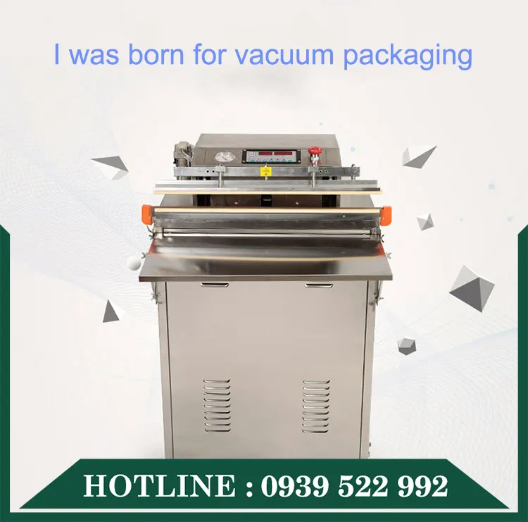 Máy Hút Chân Không Vòi Ngoài VS-600(INOX) 11 may hut chan khong voi ngoai vs 500 3 1