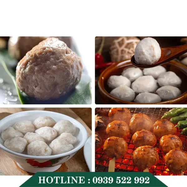 Máy Tạo Viên Thịt Cá TT-M17 7 May Tao Vien Thit Ca TT M17 2