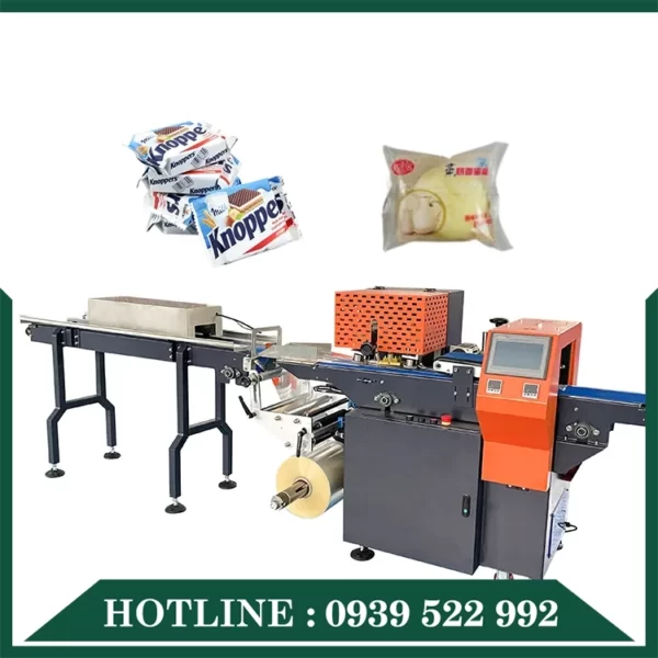 Máy Đóng Gói Dạng Ngang 13 may dong goi dang ngang 05