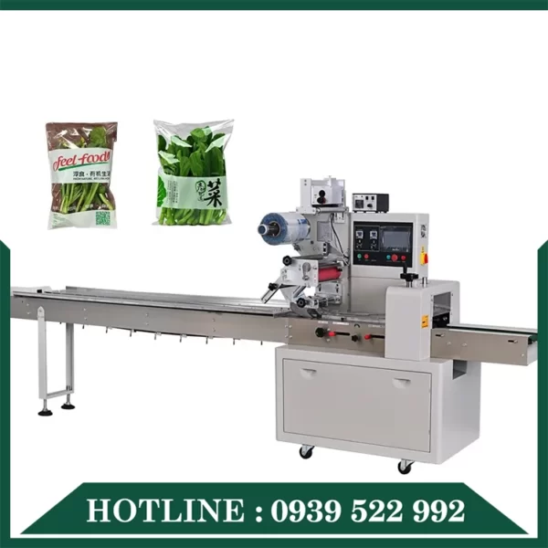 Máy Đóng Gói Dạng Ngang 9 may dong goi dang ngang 06