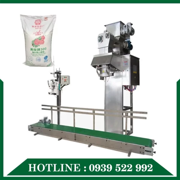 Máy Đóng Gói Gạo 11 may dong goi gao 02