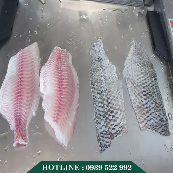 may tach da ca da nang 4