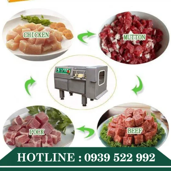 may thai thit hat luu tu dong dai dien1 4