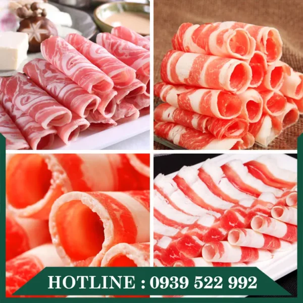 Máy Thái Thịt Tự Động SL-300E 10 may thai thit tu dong sl300e 2