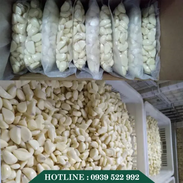 Máy Bóc Vỏ Hành Tỏi FX-128S 8 may boc vo hanh toi fx 128s 3 copy