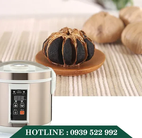 Máy Làm Tỏi Đen Gia Đình 6 may lam toi den 3