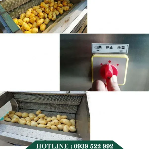 Máy Rửa Củ Nghệ Gừng 9 may rua cu nghe gung 4 copy