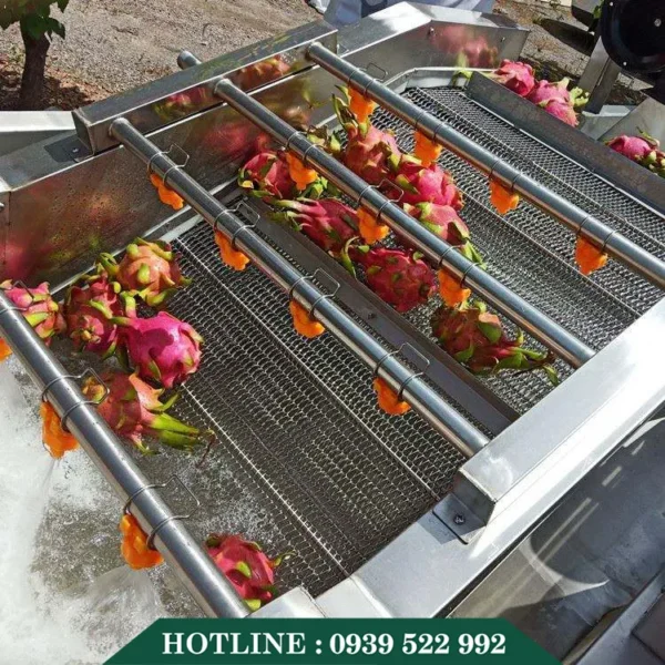 Máy Rửa Thanh Long 9 may rua thanh long 3 copy