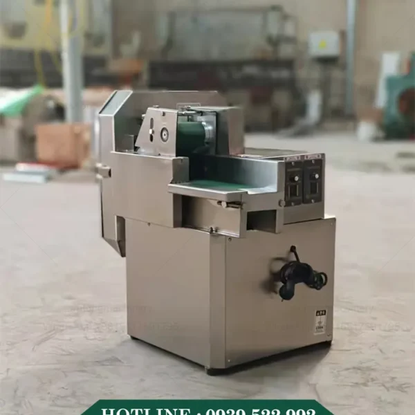 Máy Thái Rau Củ Quả Băng Tải 11 may thai rau cu qua bang tai 3