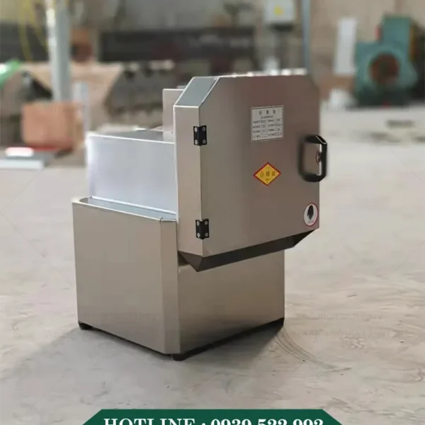 Máy Thái Rau Củ Quả Băng Tải 13 may thai rau cu qua bang tai 5