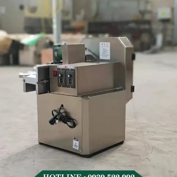 Máy Thái Rau Củ Quả Băng Tải 15 may thai rau cu qua bang tai 7