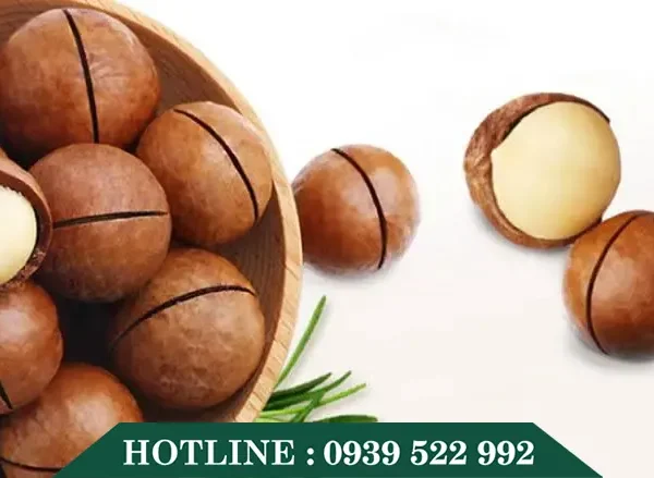 Máy Cưa Hạt Macca 10 may cua hat maca 3 copy