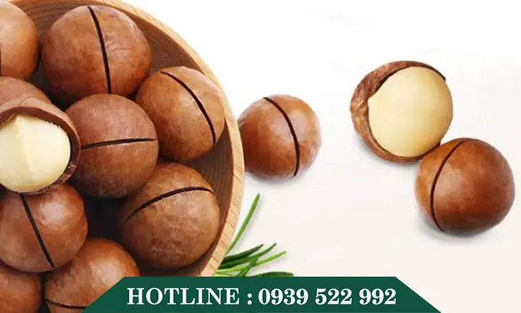 Máy Cưa Hạt Macca 15 may cua hat maca 3 copy