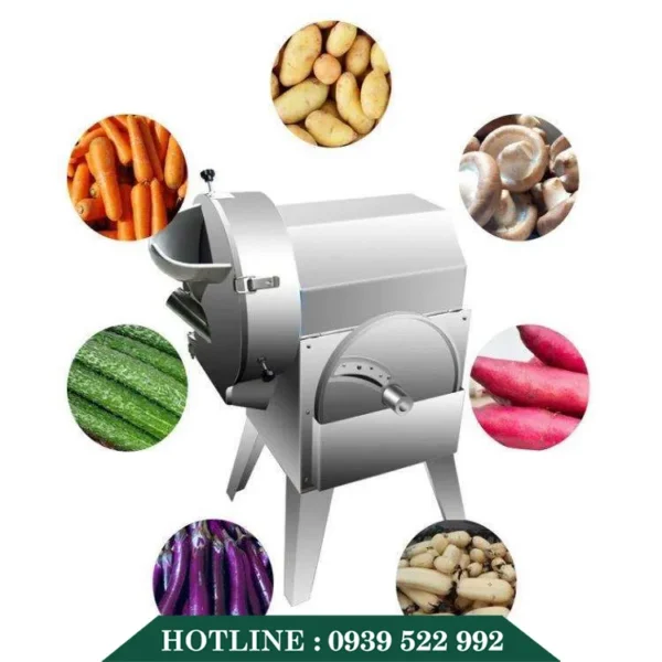 Máy Thái Rau Củ Quả Đa Năng 13 may thai rau cu qua da nang 6